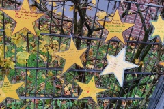 20201215_103204_resized