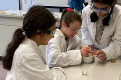 1df87927-dc08-48fa-82fa-a29348c1f1ea