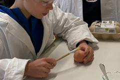 75c6e3e7-b57a-4635-b1e1-c423fb2a8692