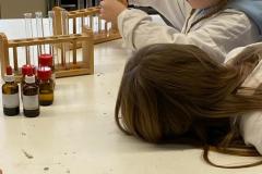 a61b191b-fe73-48cc-8150-363534cd23a3