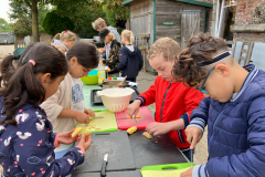 processed-F1429FDE-0174-4776-8E7B-D56AF5DE7CE1